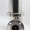 100 mm 12 Layer Sterile Air and Gas Filter with 2 inch 150 lb 150 lb Flange connections. - Image 3